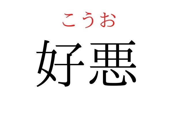 間違えている人多数！「好悪」何て読む？