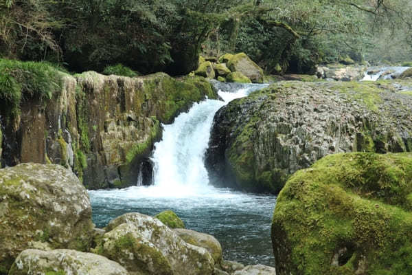 【熊本】大自然すぎる！菊池渓谷の見どころ7選＆合わせて楽しみたいカヤック体験