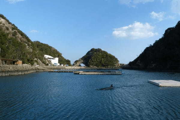 イルカやクジラと触れあい学べる・和歌山【太地町立くじらの博物館】1.jpg