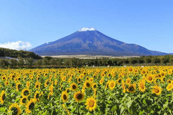 富士山とグルメを堪能！河口湖・山中湖周辺のおすすめスポット15選1.jpg