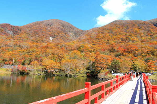 群馬の紅葉8選！東京から日帰りで行ける群馬県のおすすめ紅葉スポット06d-4f15-a081-618c585f6e5f.jpeg