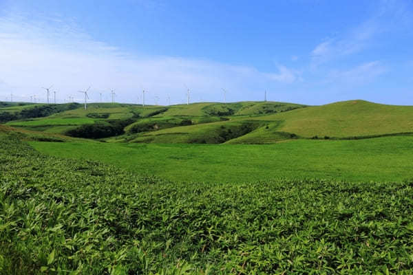 【北海道】宗谷岬にノシャップ岬も！稚内をめぐる観光モデルコース