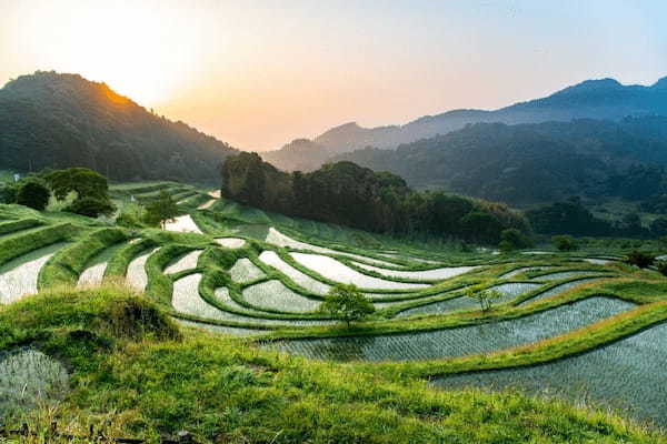 【千葉】養老渓谷・亀岩の洞窟・大山千枚田を1日でめぐる絶景観光モデルコース1.jpg