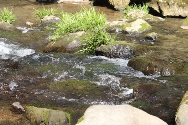 【熊本】生茶CMロケ地！水のカーテンは必見「鍋ヶ滝」散策ポイント6選＆周辺情報