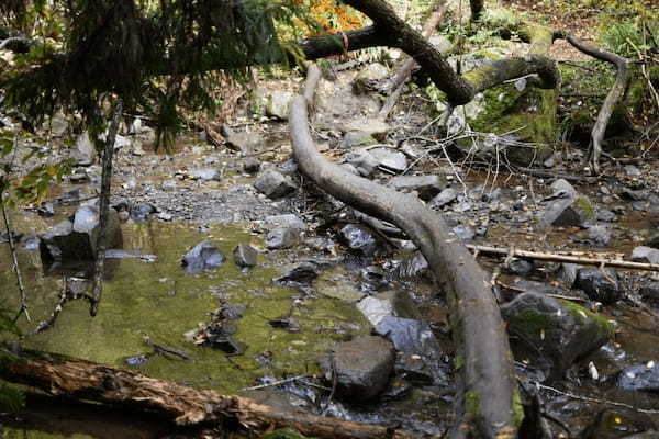 【神奈川・矢倉岳】神が宿る山で低山登山を楽しむ1.jpg