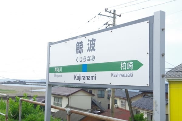 【新潟県・海が見える駅】改札を抜けると美しい海！信越本線に乗って柏崎エリアを旅しよう