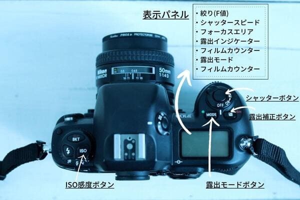 フィルムカメラに挑戦してみよう！初心者でも思い通りに撮るコツは？