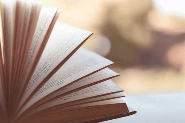 【小説家・新川帆立】「人生遠回り」の伏線は、いつか回収される。“リスクを避けつつ我を通す”元弁護士作家の生き方