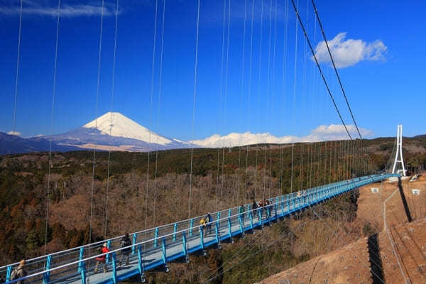 伊豆・子供と行きたい観光スポット40選！子連れ旅行におすすめ