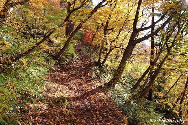 【青森】黒石の人気紅葉スポット中野もみじ山