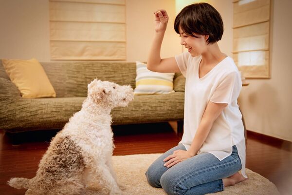 ペットシッターに愛犬のお世話を頼もう！内容・料金・注意点などを徹底解説