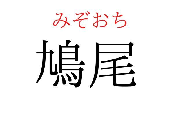 【読めたらすごい】「鳩尾」何て読む？