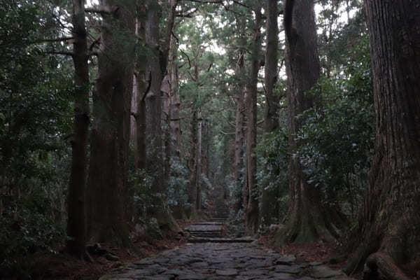 【和歌山】巡礼の地、熊野・那智で歩いて巡る世界遺産