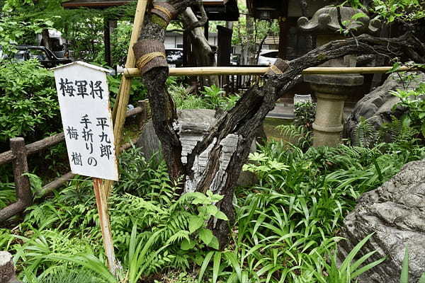 愛宕神社 東京23区最高峰の神社！？出世の石段を登って運気アップ！