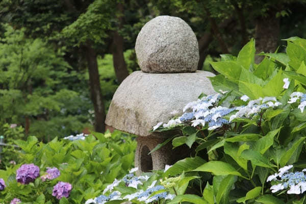 【茨城】山肌に1万株の紫陽花！二本松寺の見どころ7選