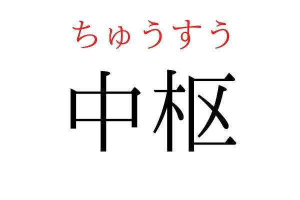 【意外と読めない】「中枢」何て読む？