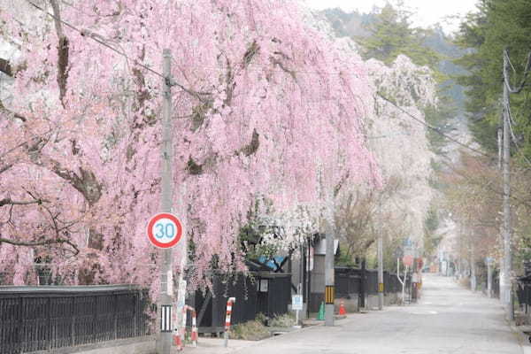 【東北】春夏秋冬のおすすめお祭り22選！1.jpg