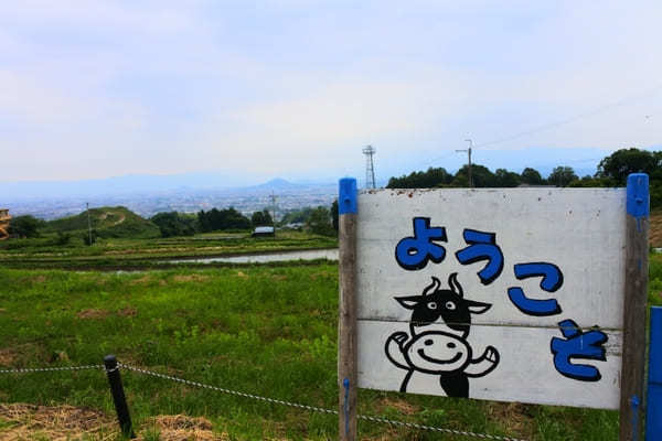 【奈良】一言で願ったら何でも叶う！葛城一言主神社と御所市おすすめスポット