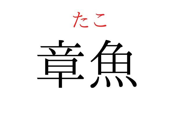 【読めたらすごい】「章魚」何て読む？