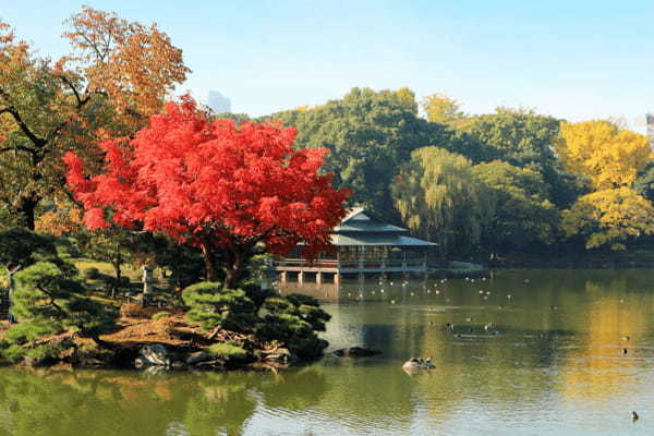 東京の紅葉名所19選！都会の真ん中で燃えるような紅葉を楽しもう！