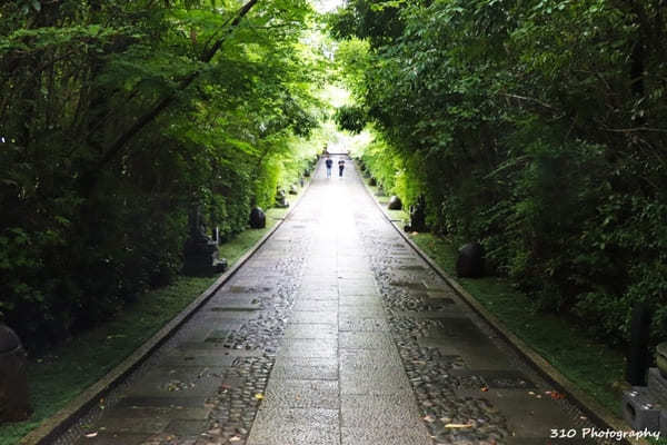 仙台のあじさい寺！資福寺で紫陽花を楽しもう