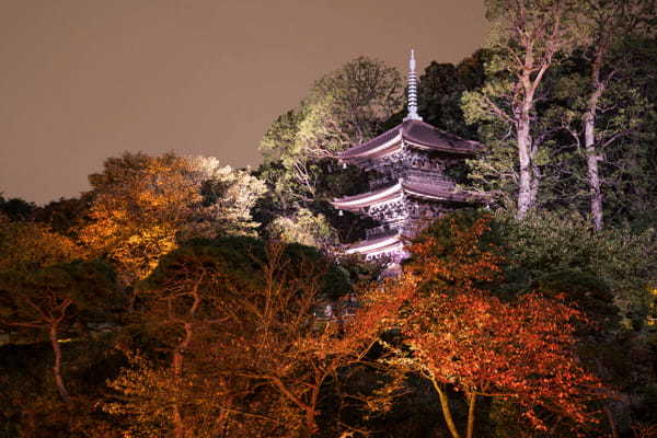 東京の紅葉名所19選！都会の真ん中で燃えるような紅葉を楽しもう！