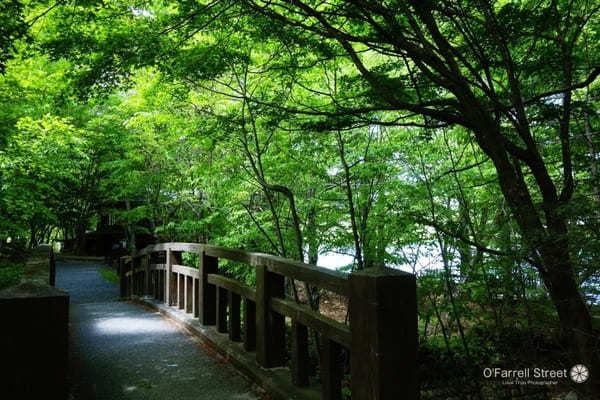 定番以外！雨の日でも！日光で別荘めぐりの日帰り観光ルート