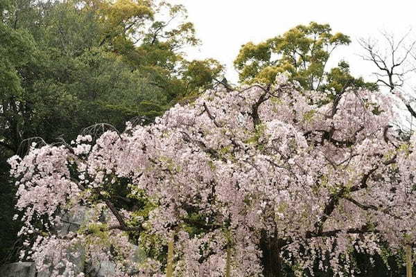 【徹底解説】岡山の名所「後楽園」の魅力とは！歴史的な建造物の紹介から料金・クーポン情報まで