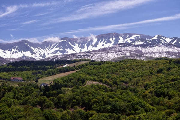 【山形県】宿坊に泊まり羽黒山・出羽三山神社を参拝するモデルコース