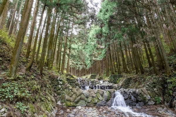 埼玉県で田舎暮らし！おすすめの自治体や支援制度について紹介