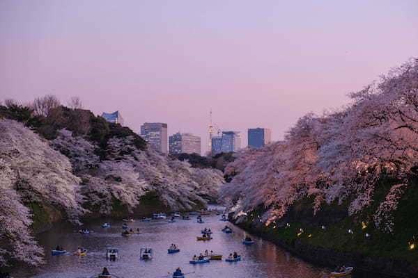 カップルで春に行きたい旅行先13選！【日本国内】