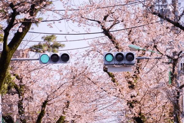 桜新町駅近くの人気テイクアウト13選！おすすめランチやオードブルも！