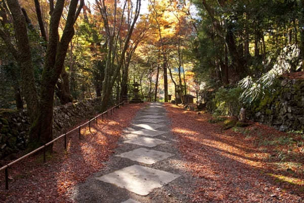 京都でおすすめの寺・神社49選！観光客に人気＆世界遺産の寺社リスト