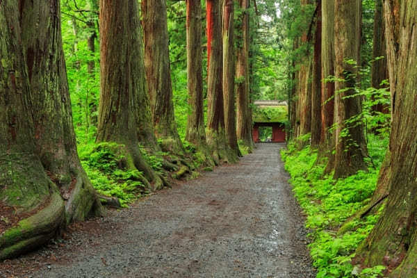 【長野】1泊2日で善光寺・鏡池・戸隠神社を巡る観光モデルコース