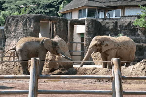 関東の人気動物園TOP16！みんなが行っている動物園ランキング1.jpg