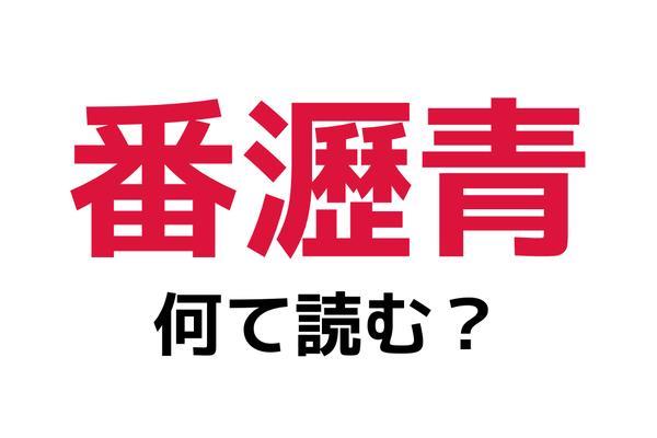 「番瀝青」の読み方は？「ばんれきせい」ではありません【難読漢字】