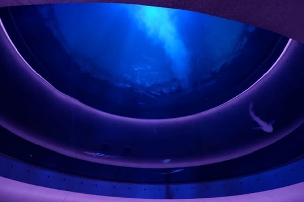 【香川】四国最大の海のミュージアム「四国水族館」5つの見どころガイド