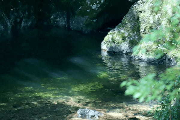 森と滝のマイナスイオンでリフレッシュ！愛知・阿寺の七滝散策ガイド1.jpg