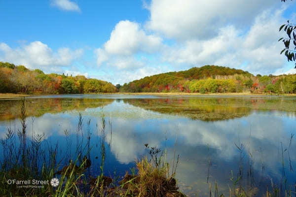 圧巻の紅葉も！リフレクションが美しい観音沼森林公園【福島】