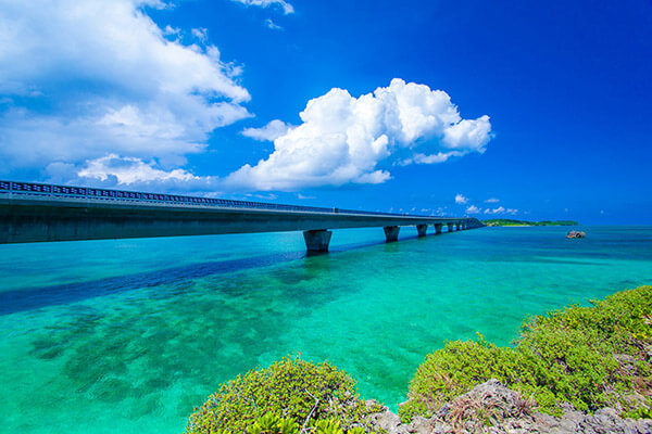 沖縄・宮古島発！島のフルーツや純黒糖をふんだんに使った6種類の贅沢バターサンド