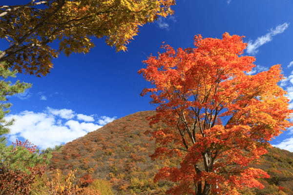 群馬の紅葉8選！東京から日帰りで行ける群馬県のおすすめ紅葉スポット