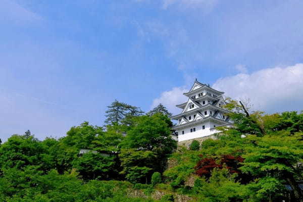 モネの池・郡上八幡城・やなか水のこみちをめぐる1日観光おすすめモデルコース【岐阜】1.jpg