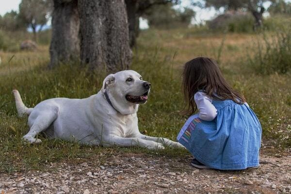 犬の生まれ変わり体験実例をご紹介！見逃せない愛犬の生まれ変わりサインを解説