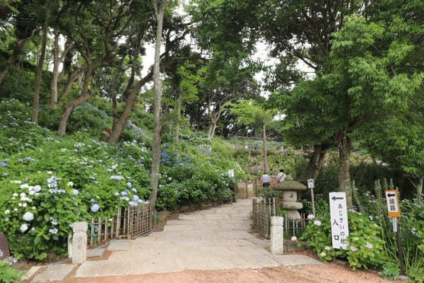 【茨城】山肌に1万株の紫陽花！二本松寺の見どころ7選