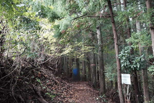 【神奈川・矢倉岳】神が宿る山で低山登山を楽しむ1.jpg