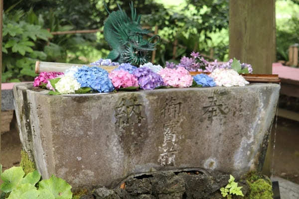 【茨城】山肌に1万株の紫陽花！二本松寺の見どころ7選