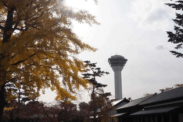 函館・五稜郭公園は歴史も楽しめる散策スポット　開放感抜群の景色が最高