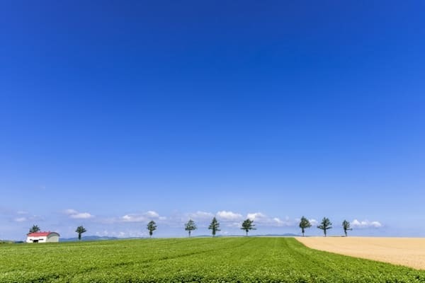 【北海道】美瑛だけじゃない！道東で感じる丘の絶景