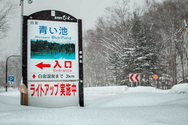 静かな森で雪と光の演出を、北海道・美瑛の青い池ライトアップ1.jpg