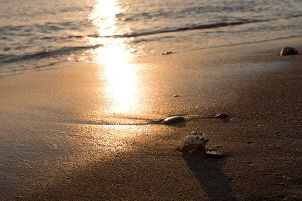 夕暮れの海で癒しの時間、鎌倉・材木座海岸から逗子マリーナまで季節外れのお散歩コース1.jpg